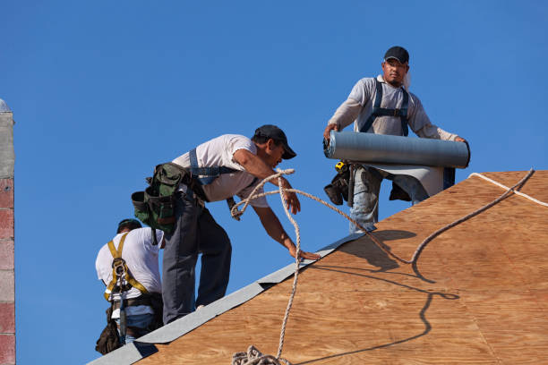 Best Roof Leak Repair  in Indian River, MI