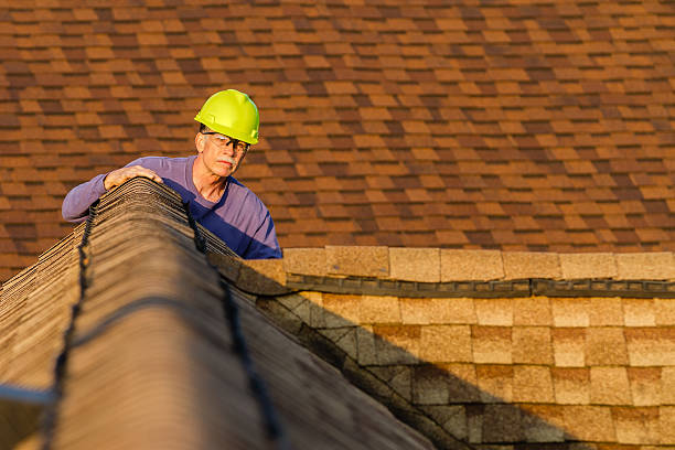 Best Local Roofing Companies  in Indian River, MI